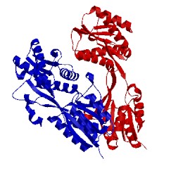 Image of CATH 2wrz