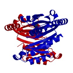 Image of CATH 2wsm