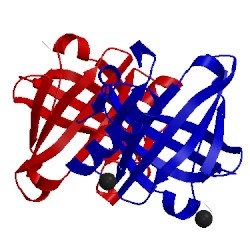 Image of CATH 2wwp