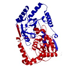 Image of CATH 2wzv