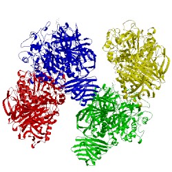 Image of CATH 2x2i