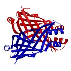 Image of CATH 2x32