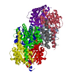 Image of CATH 2x3y