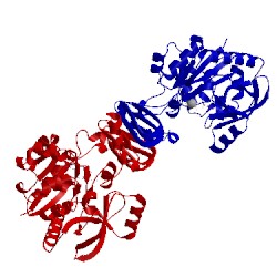 Image of CATH 2x5z