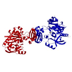 Image of CATH 2x65