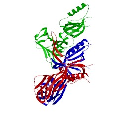 Image of CATH 2x8k