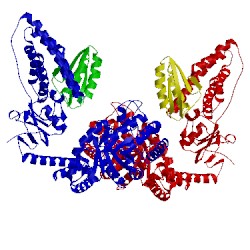 Image of CATH 2xdf