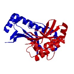 Image of CATH 2xga