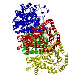 Image of CATH 2xh4