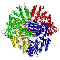 Image of CATH 2xk1