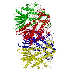 Image of CATH 2xlp