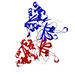 Image of CATH 2xnc