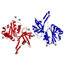 Image of CATH 2xnj