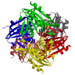 Image of CATH 2xpd