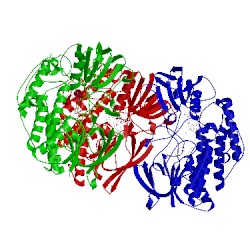 Image of CATH 2xvh