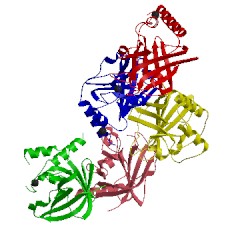 Image of CATH 2xwg