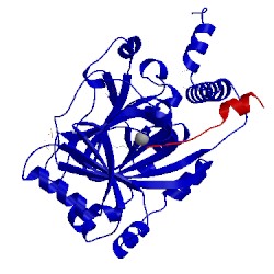 Image of CATH 2y0i