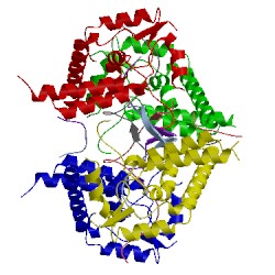 Image of CATH 2y0n