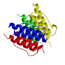 Image of CATH 2y0q