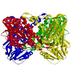 Image of CATH 2y1x