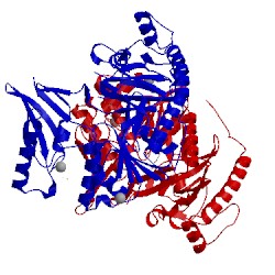 Image of CATH 2y4n