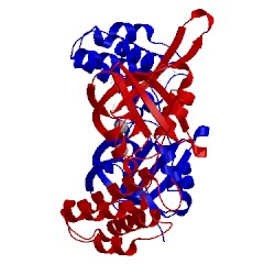 Image of CATH 2yb5