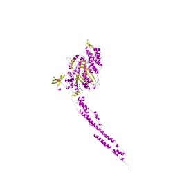 Image of CATH 2ycuA