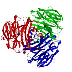 Image of CATH 2ydp