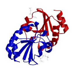 Image of CATH 2yn1