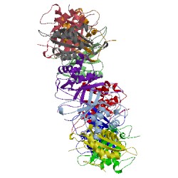 Image of CATH 2ypz