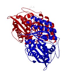 Image of CATH 2yxu