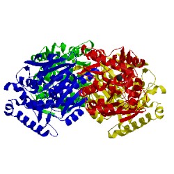 Image of CATH 3a2n