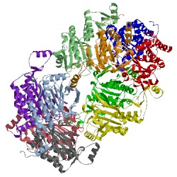 Image of CATH 3a2w