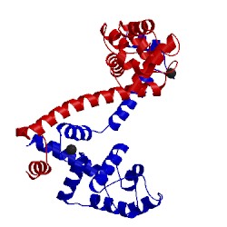 Image of CATH 3a8r