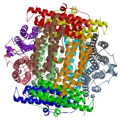 Image of CATH 3ak8