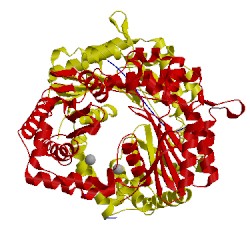 Image of CATH 3amj