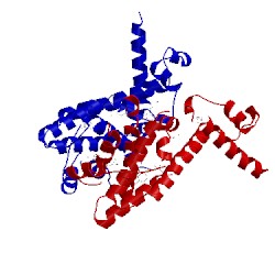 Image of CATH 3aqt