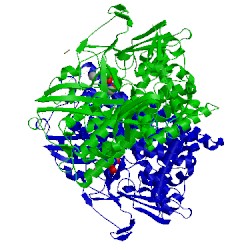 Image of CATH 3ayz