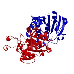 Image of CATH 3bbe