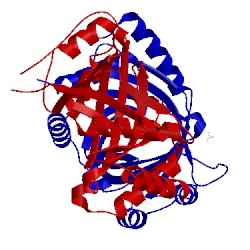 Image of CATH 3bgy