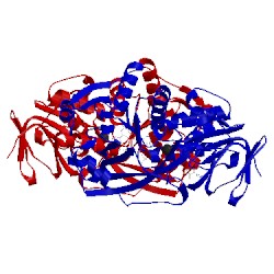 Image of CATH 3bhf