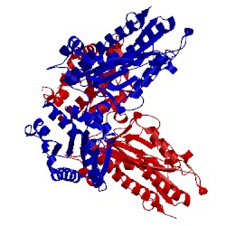 Image of CATH 3bip