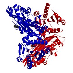 Image of CATH 3bit