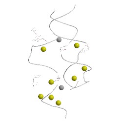 Image of CATH 3bnq