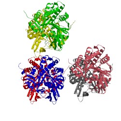 Image of CATH 3bwo