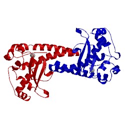 Image of CATH 3c3t