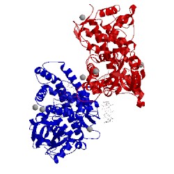 Image of CATH 3c6g