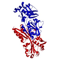 Image of CATH 3cg1