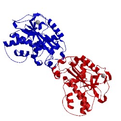 Image of CATH 3cg7