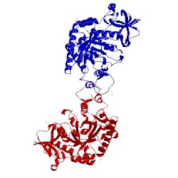 Image of CATH 3che